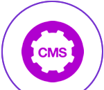 CMS (Content Management System) Vitoria